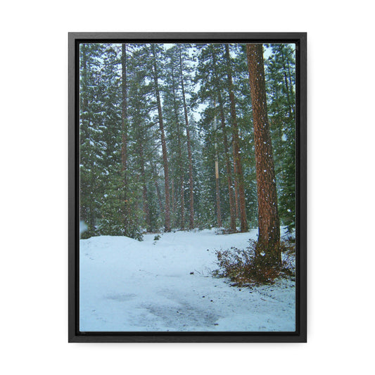 Snowfall Gallery Canvas Wraps Framed
