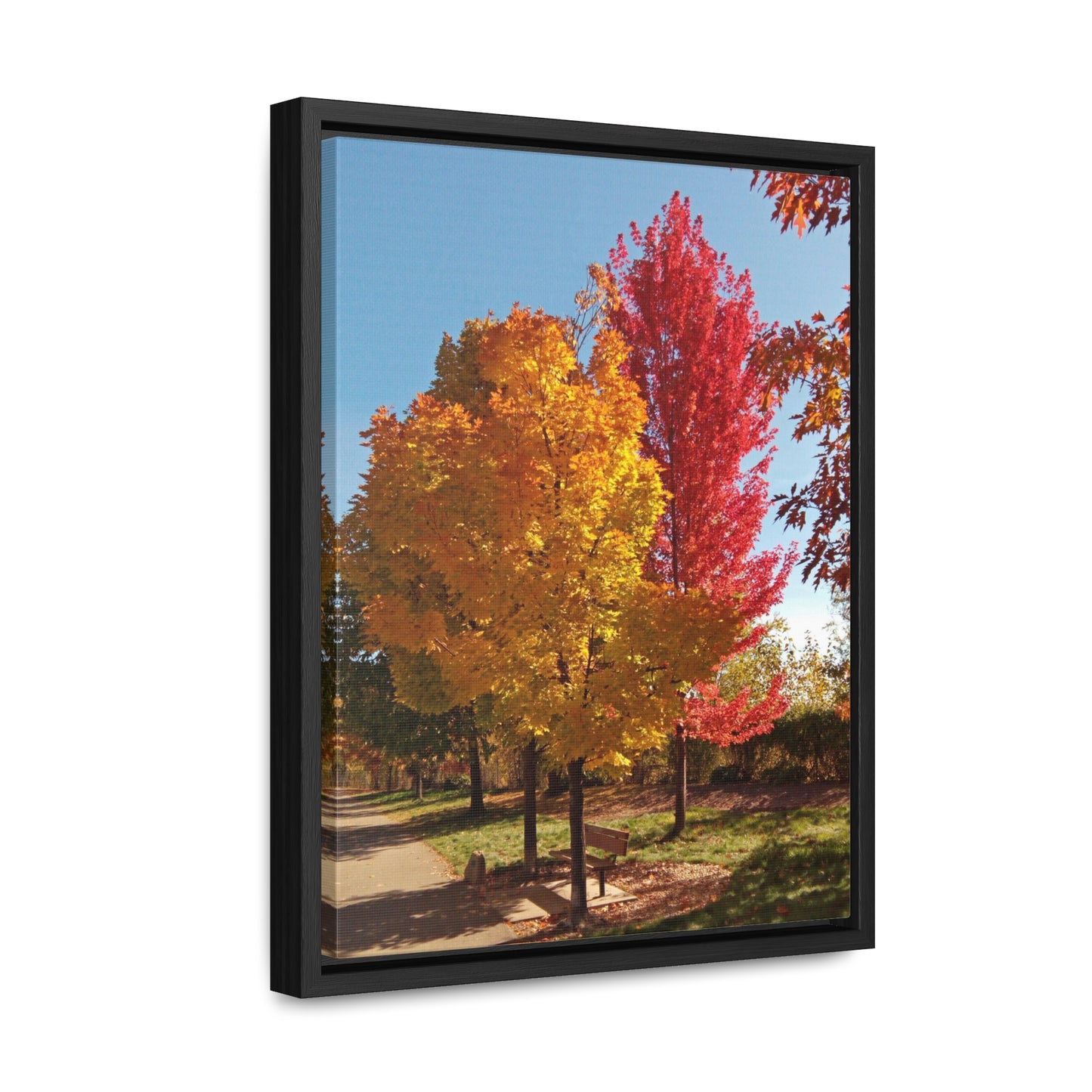 Autumn Bench Gallery Canvas Wraps Framed