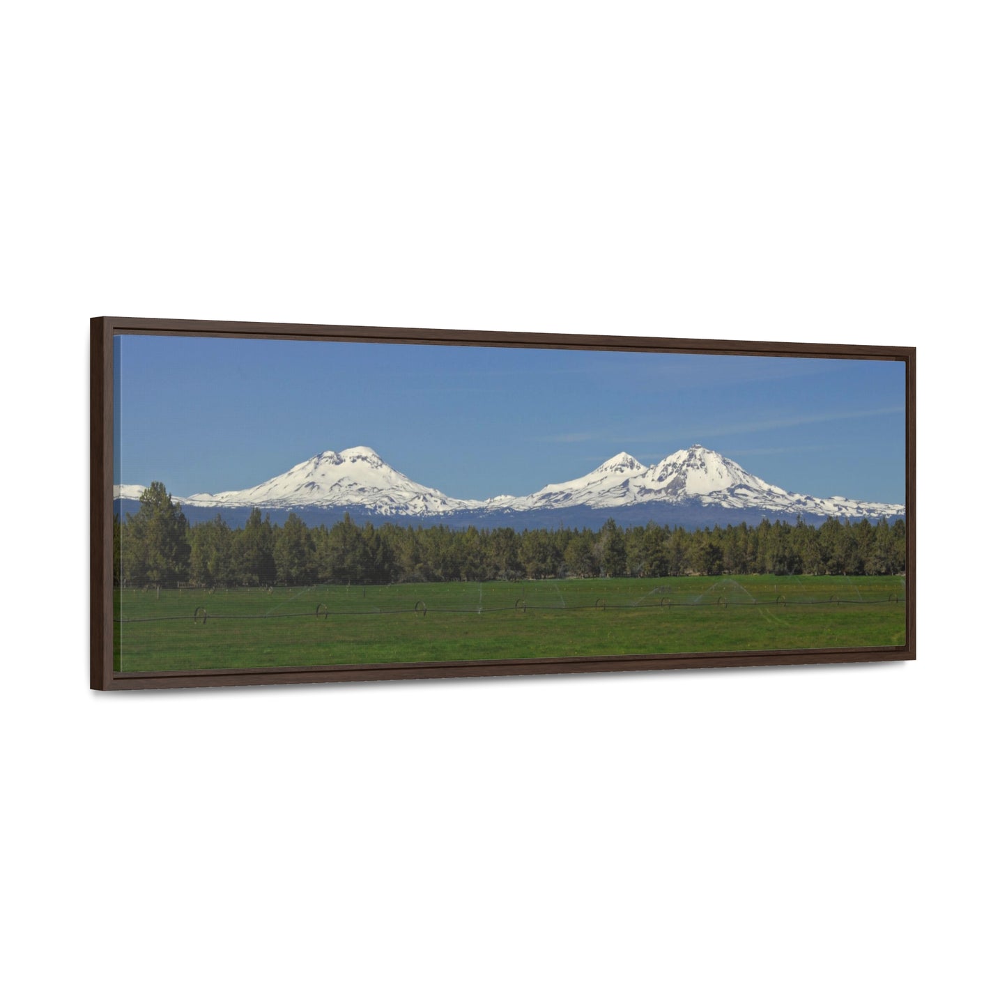 Mountain Field Gallery Canvas Wraps Panoramic Framed