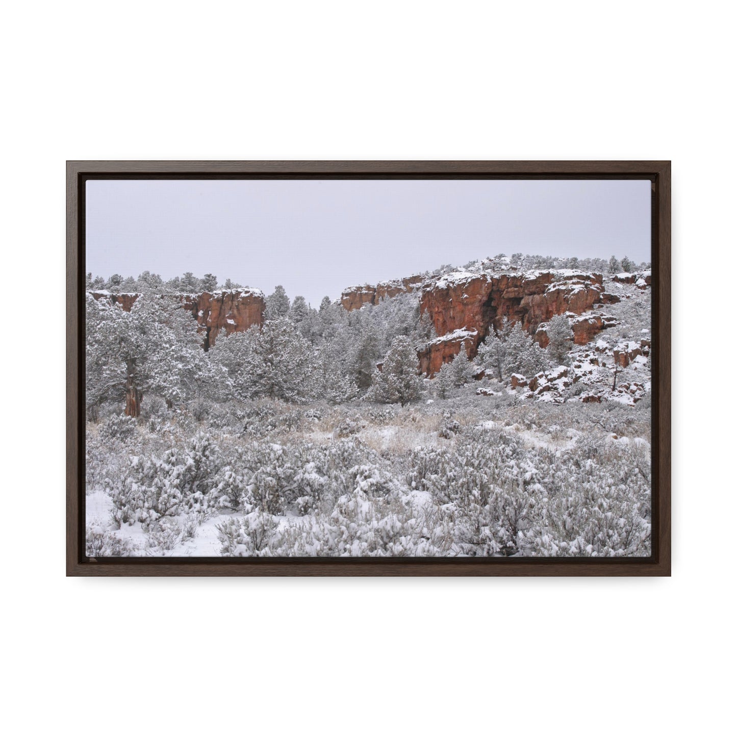 Winter Canyon Gallery Canvas Wraps Framed