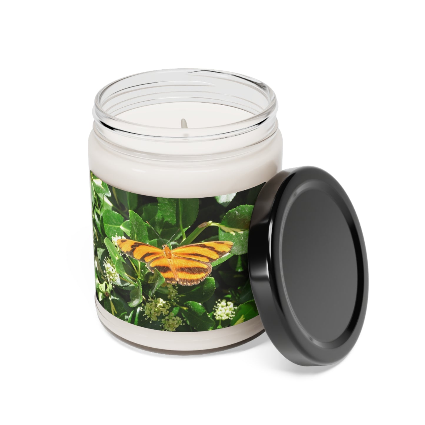 Golden Butterfly Scented Soy Candle, 9oz