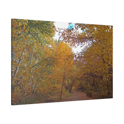 Autumn Lane Matte Canvas