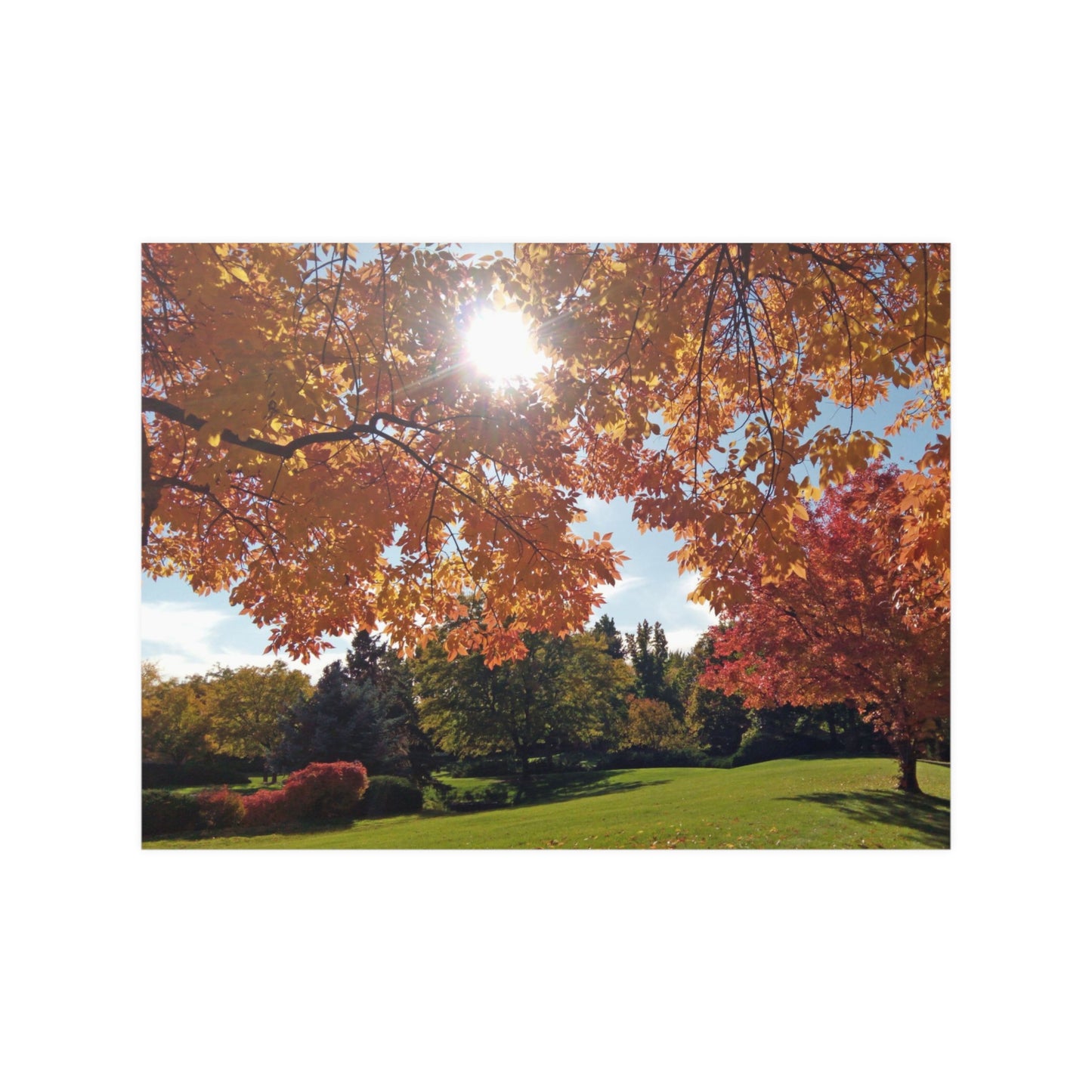 Autumn Light Satin Posters