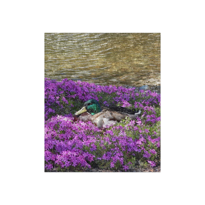 Duck Resting In Flowers Crushed Velvet Blanket Vertical