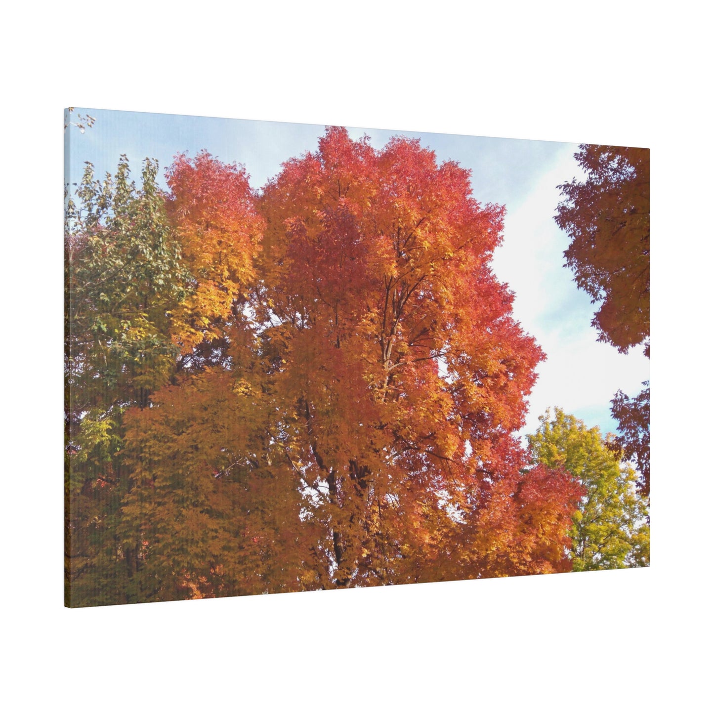 Autumn Radiance Matte Canvas
