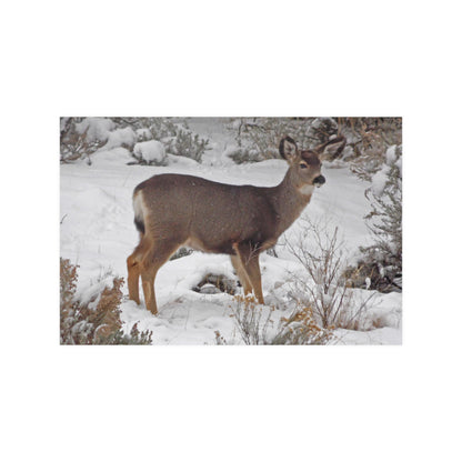 Snowy Deer Satin Posters