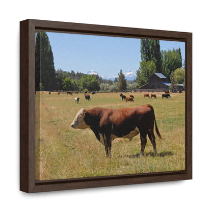 King Of The Pasture Gallery Canvas Wraps Framed