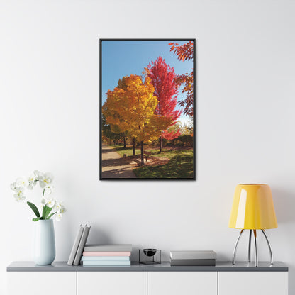Autumn Bench Gallery Canvas Wraps Framed