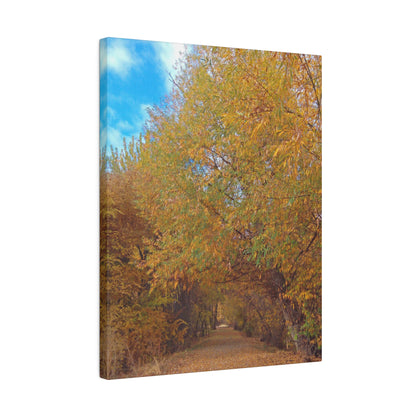 Autumn Path Matte Canvas