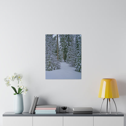 Snowy Woods Matte Canvas