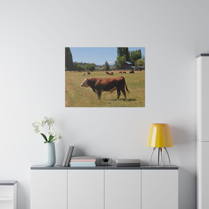 King Of The Pasture Matte Canvas