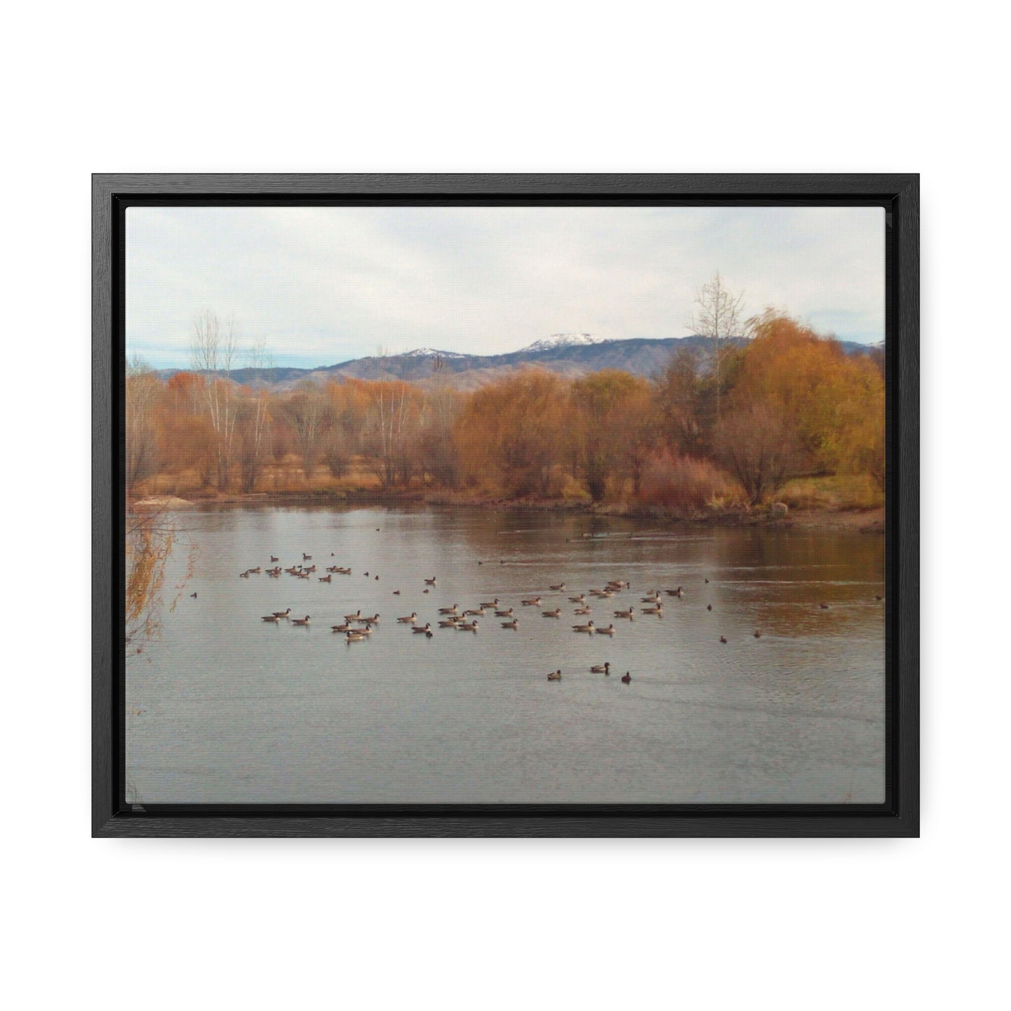 Autumn Pond with Geese Gallery Canvas Wraps Framed