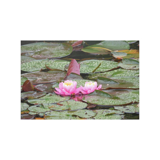 Water Lilies Satin Posters