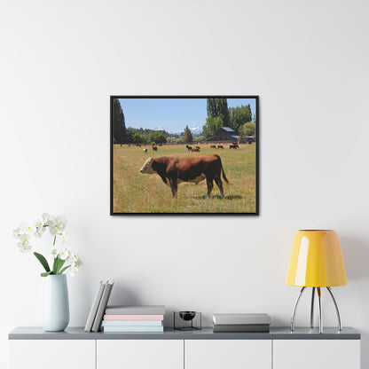 King Of The Pasture Gallery Canvas Wraps Framed