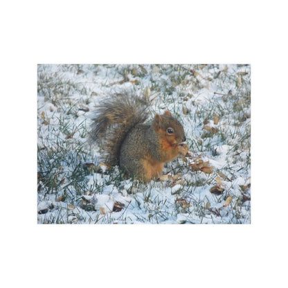 Winter Squirrel Satin Posters