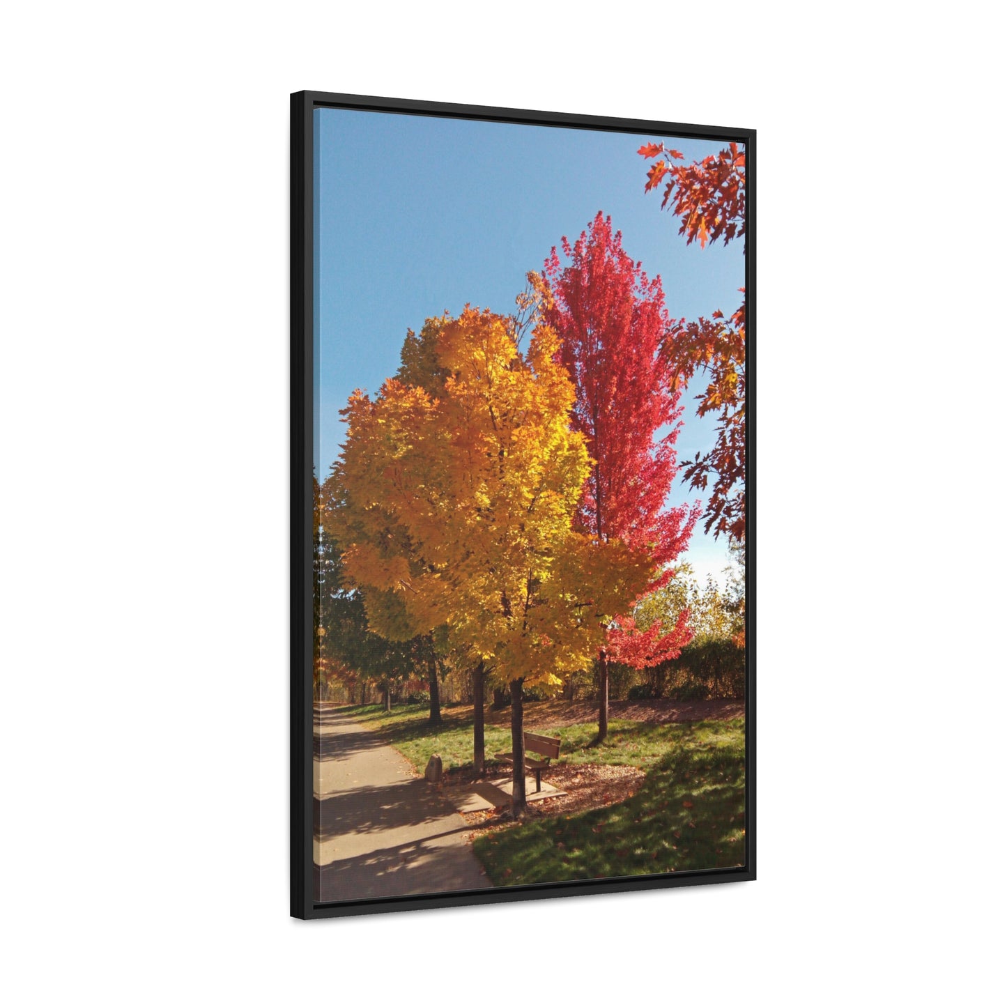 Autumn Bench Gallery Canvas Wraps Framed