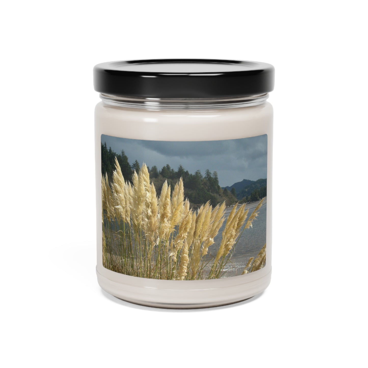Golden Coastal Pampas Scented Soy Candle, 9oz