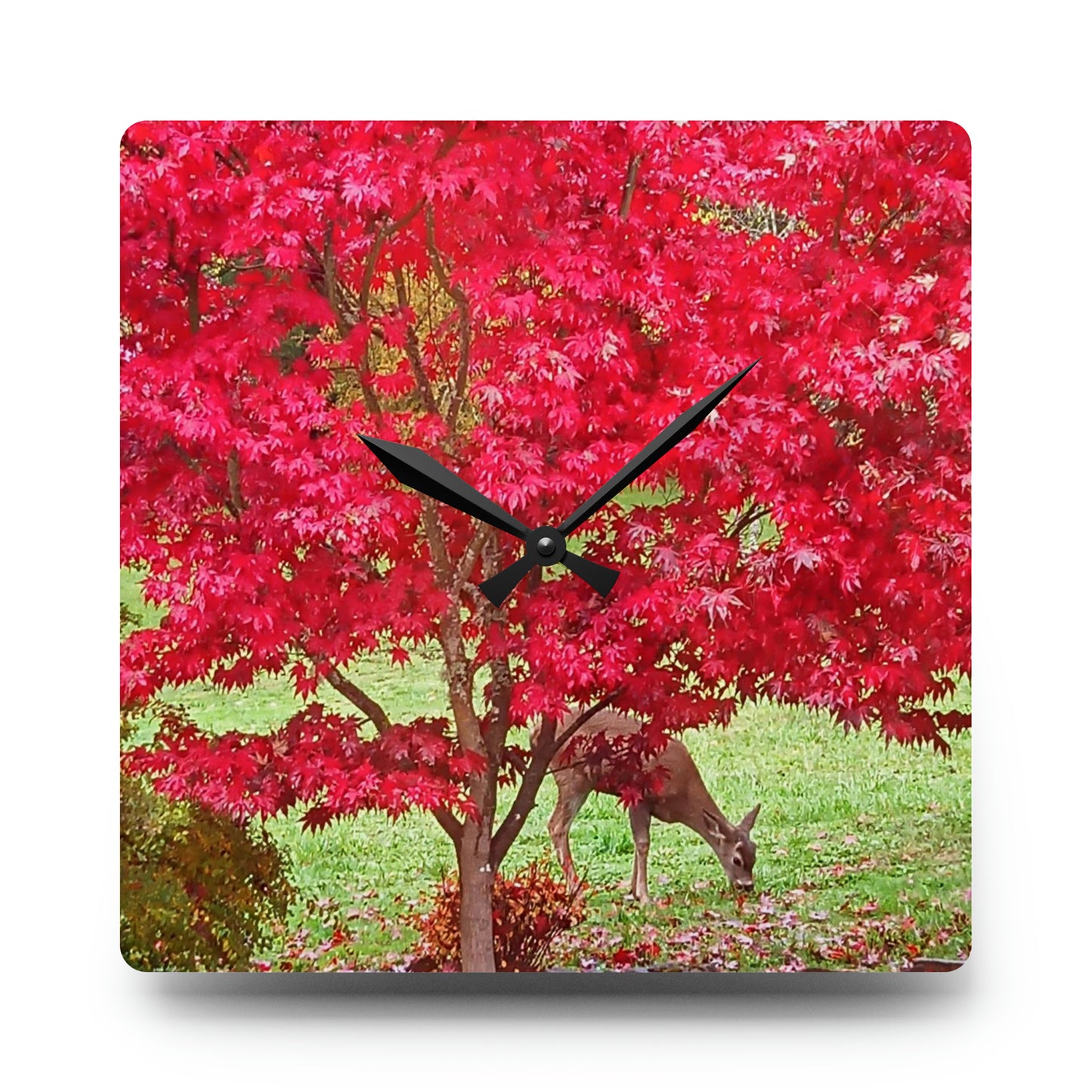 Autumn Deer Acrylic Wall Clock