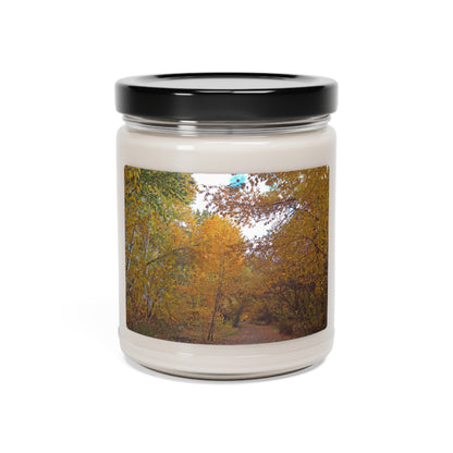 Autumn Lane Scented Soy Candle, 9oz