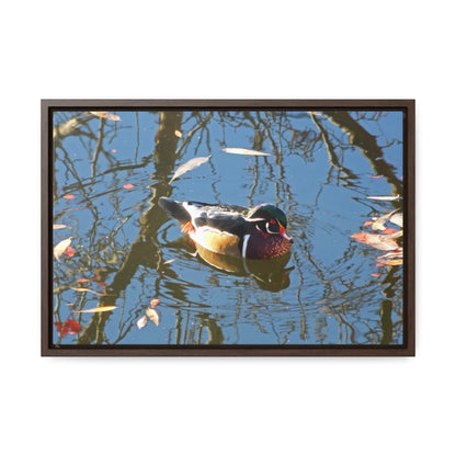 Reflections Wood Duck Gallery Canvas Wraps Framed