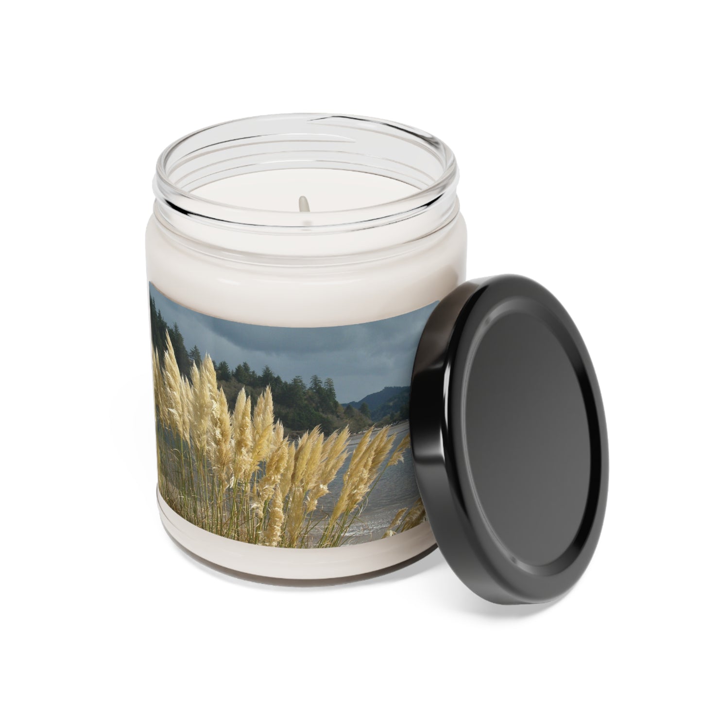 Golden Coastal Pampas Scented Soy Candle, 9oz