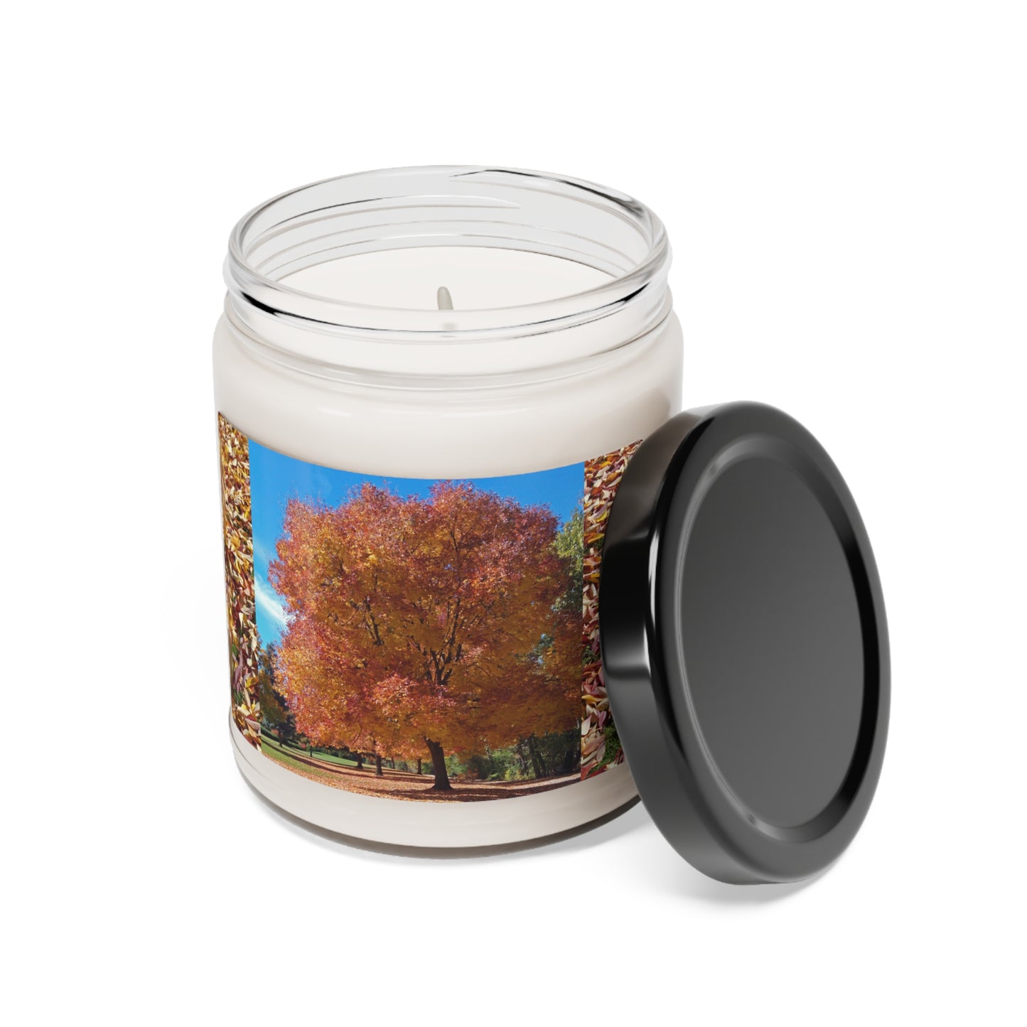 Autumn Tree Late Fall Scented Soy Candle, 9oz