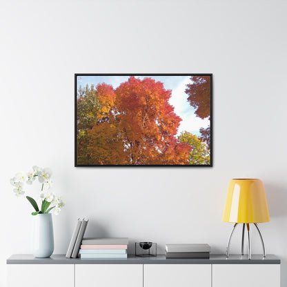 Autumn Radiance Gallery Canvas Wraps Framed