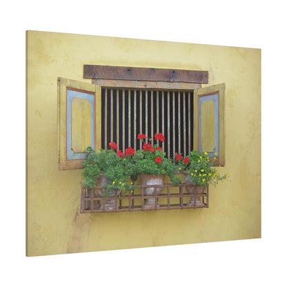 Spanish Barn Window Matte Canvas