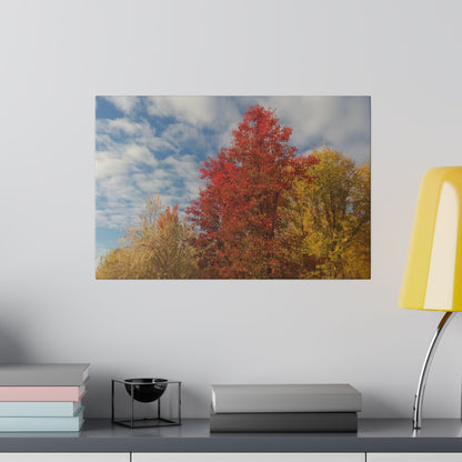 Autumn Sky Matte Canvas