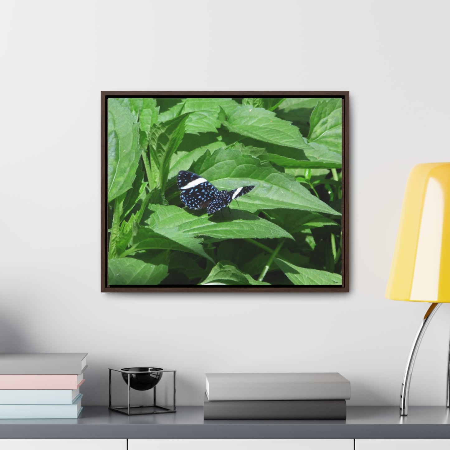 Sapphire Butterfly Gallery Canvas Wraps Framed