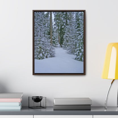 Snowy Woods Gallery Canvas Wraps Framed