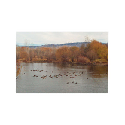 Autumn Pond with Geese Satin Posters