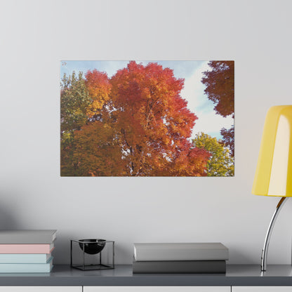 Autumn Radiance Matte Canvas