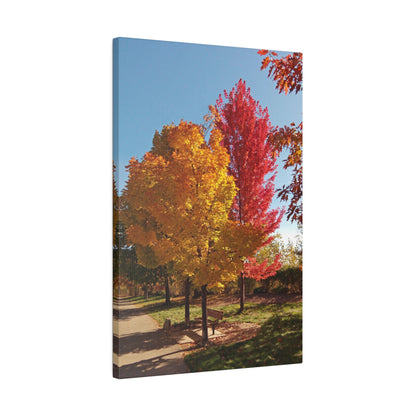 Autumn Bench Matte Canvas