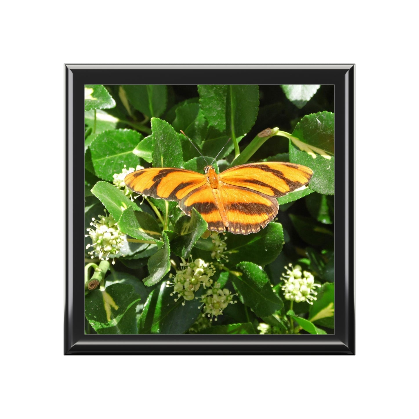 Golden Butterfly Jewelry Box ~ 7.24"