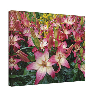 Lovely Lilies Matte Canvas