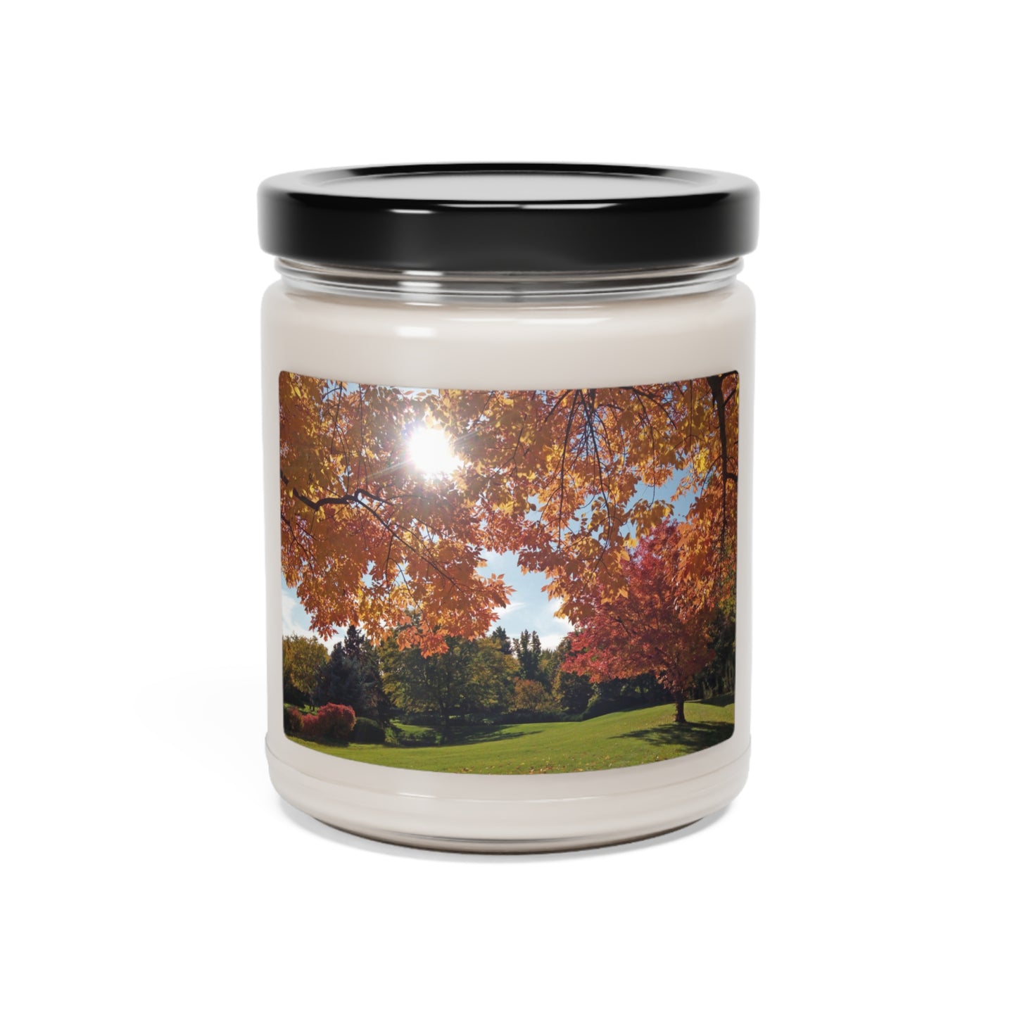 Autumn Light Scented Soy Candle, 9oz