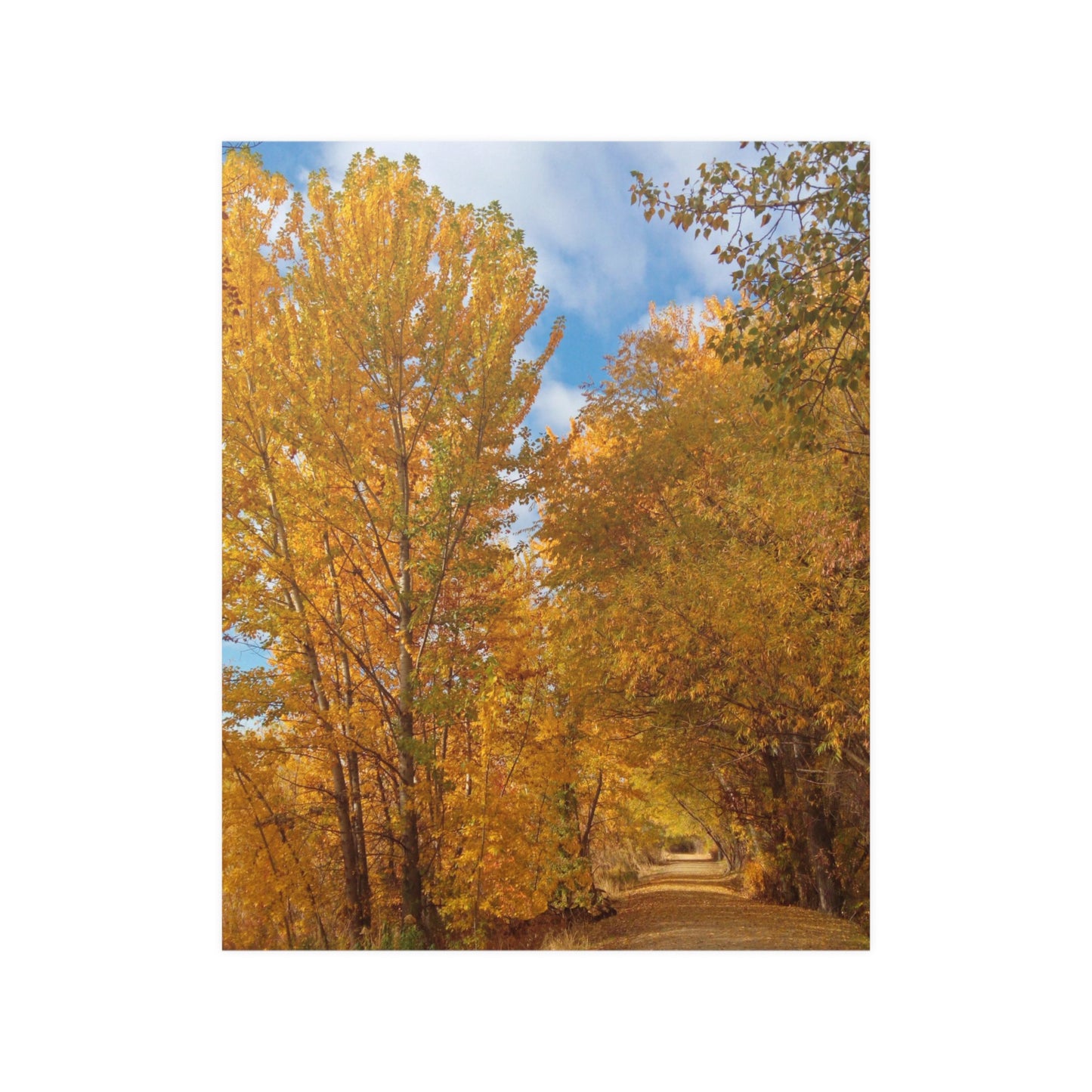 Autumn Trail Satin Posters