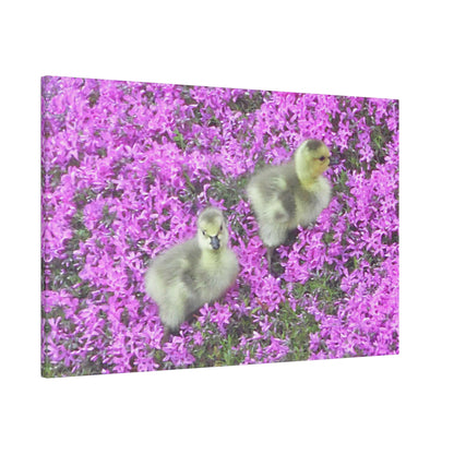 Precious Peeps Matte Canvas