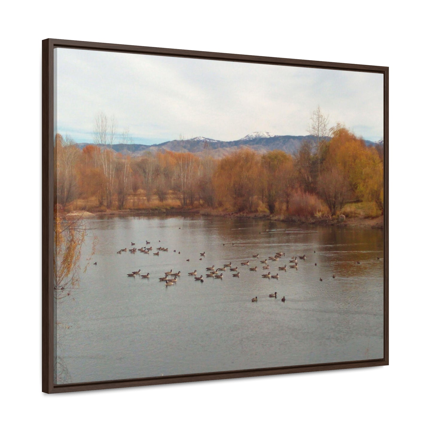 Autumn Pond with Geese Gallery Canvas Wraps Framed