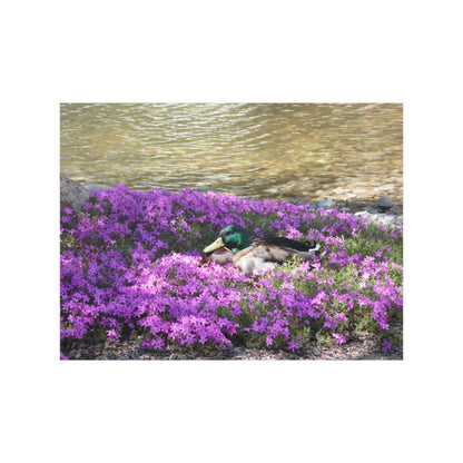 Duck Resting In Flowers Satin Posters