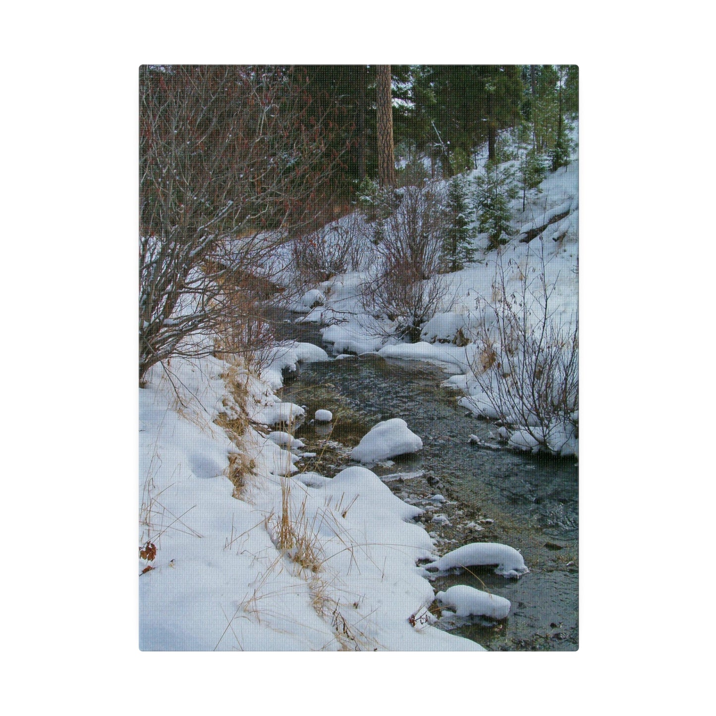 Snowy Creek Matte Canvas