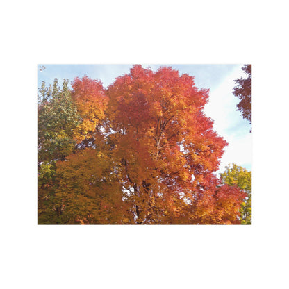 Autumn Radiance Satin Posters