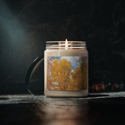 Autumn Gold Scented Soy Candle, 9oz