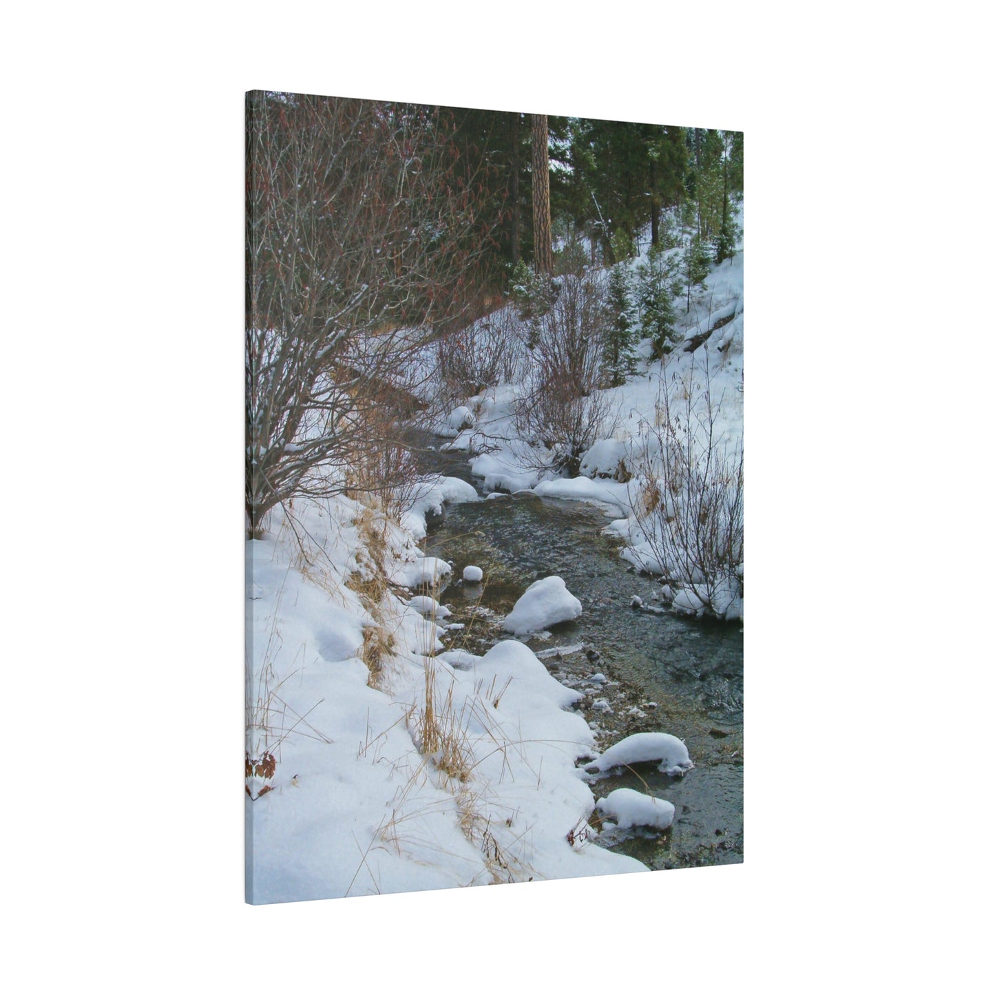 Snowy Creek Matte Canvas