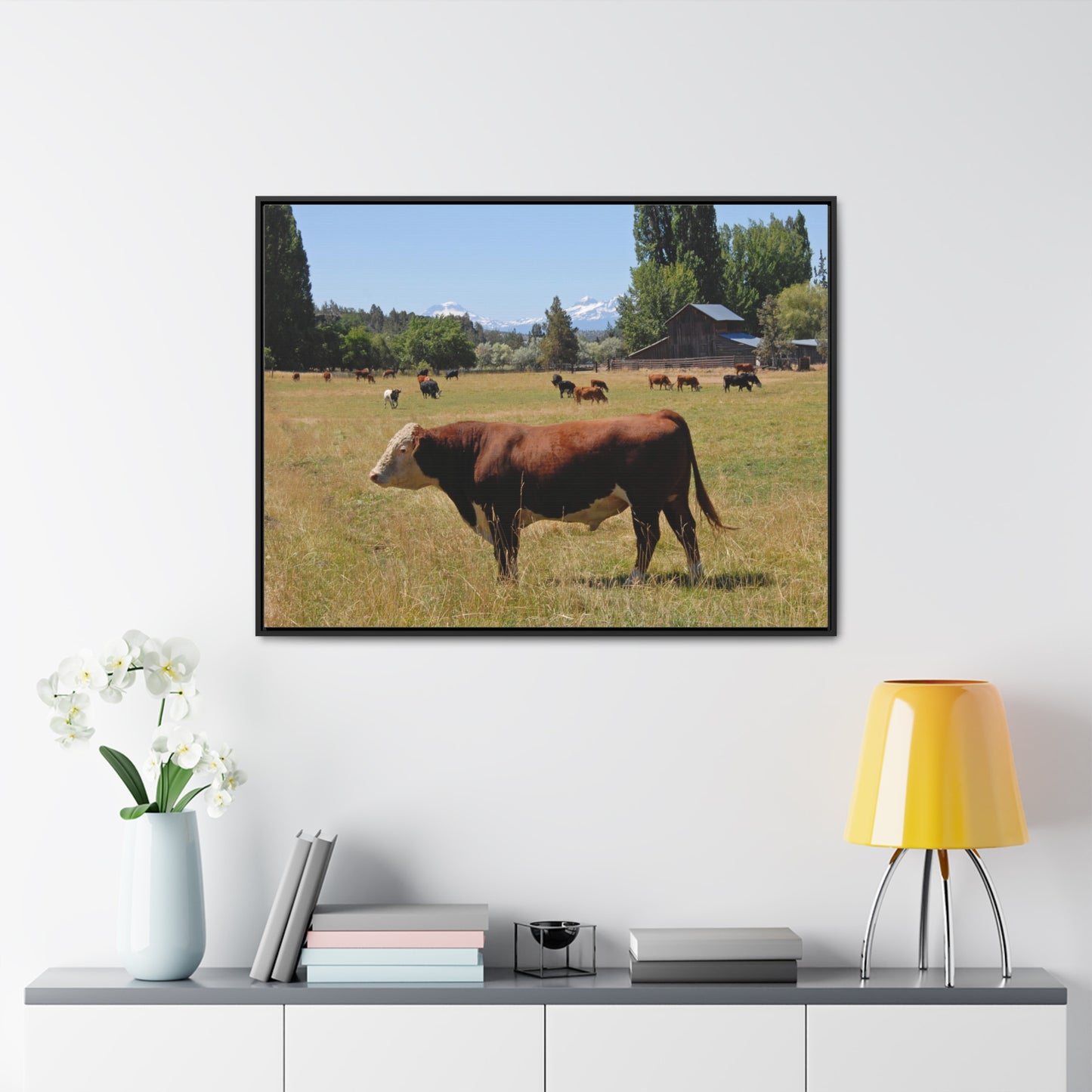 King Of The Pasture Gallery Canvas Wraps Framed