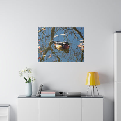 Reflections Wood Duck Matte Canvas