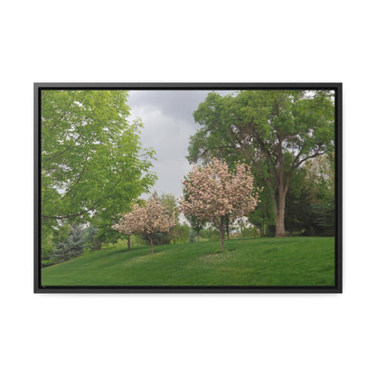 Spring In The Air Gallery Canvas Wraps Framed