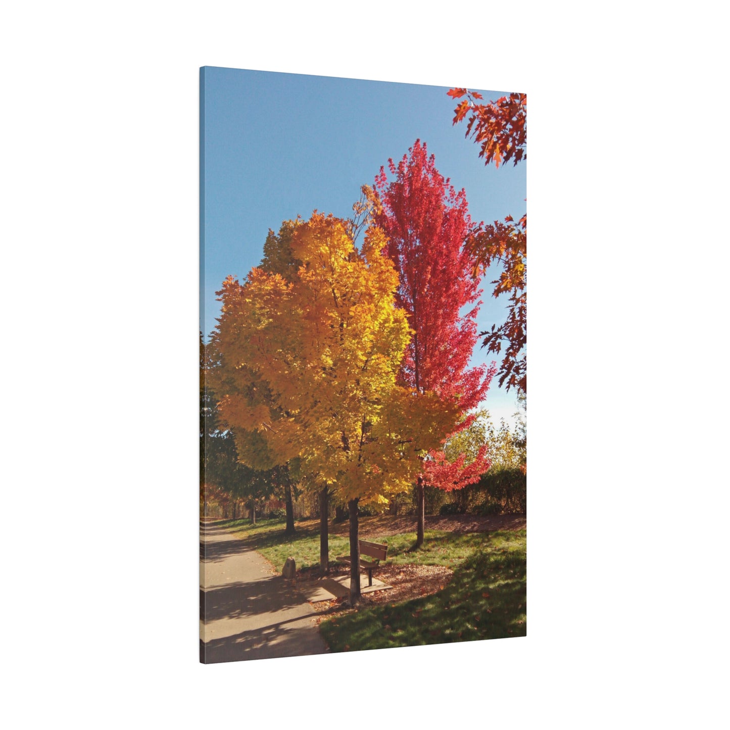 Autumn Bench Matte Canvas
