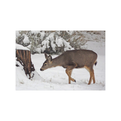Winter Deer Satin Posters